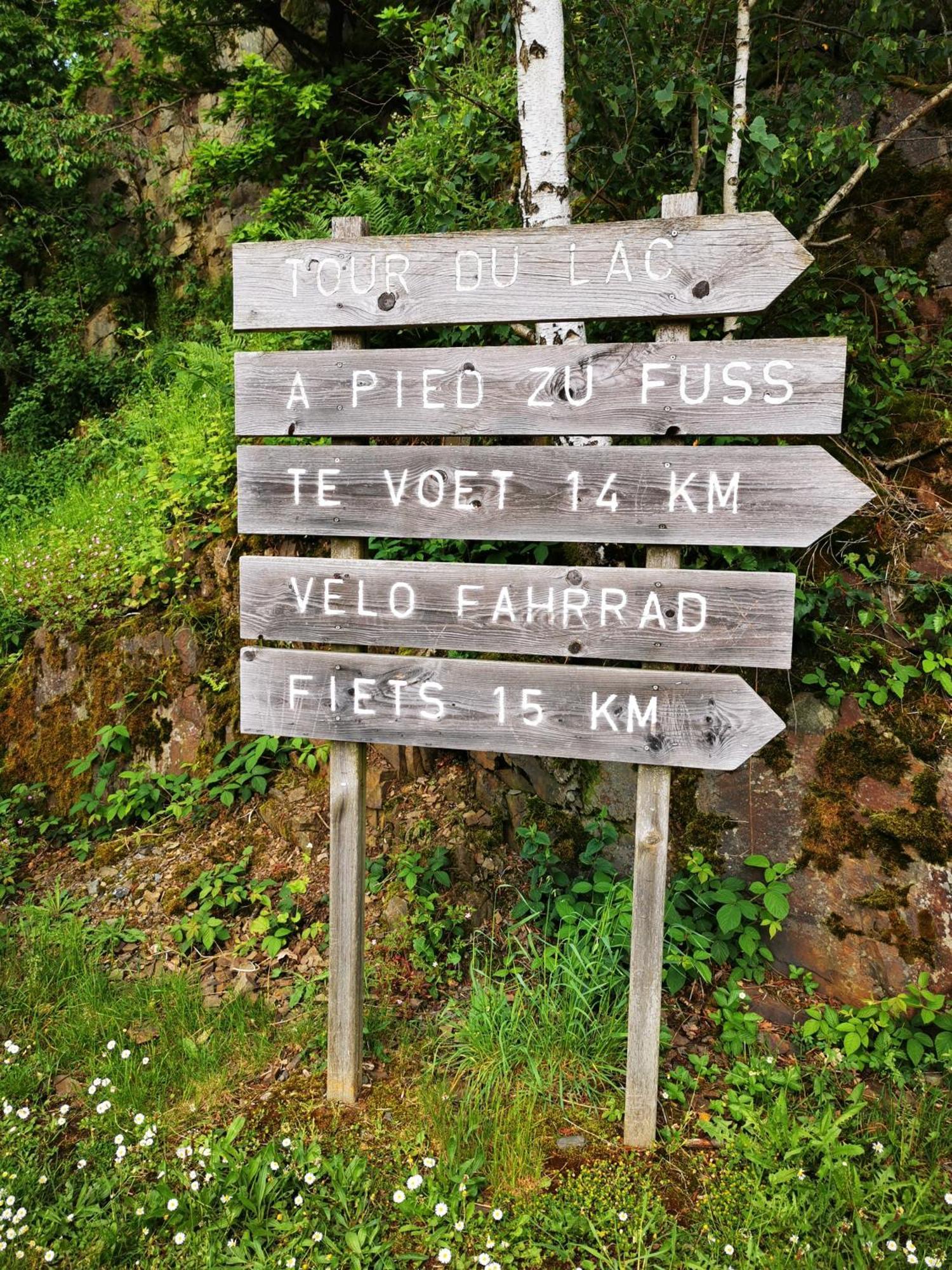 Studio Les Champs Baelen Eksteriør bilde